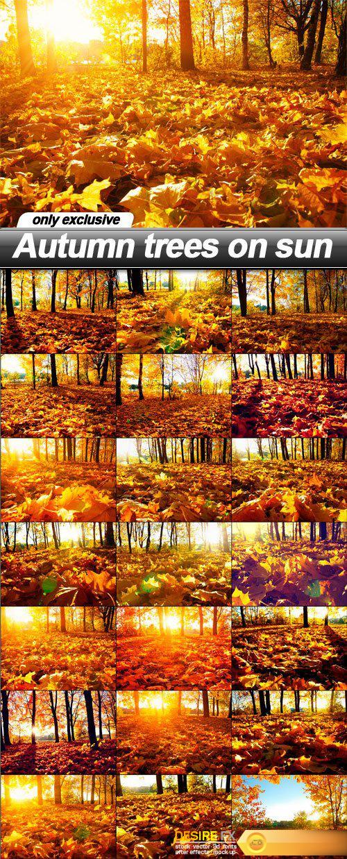 Autumn trees on sun - 21 UHQ JPEG