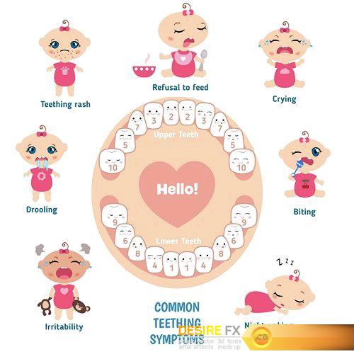 Baby teething symptoms - 13 EPS