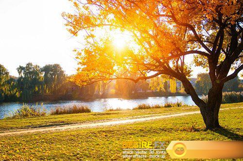 Autumn trees on sun 2 - 27 UHQ JPEG
