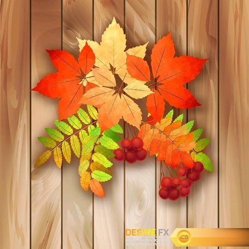 Autumn Vector Harvest Background - 12 EPS