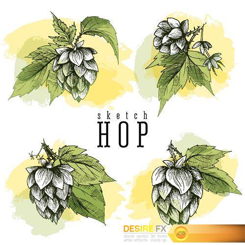 Beer hops round frame hand drawn hops branches - 39 EPS