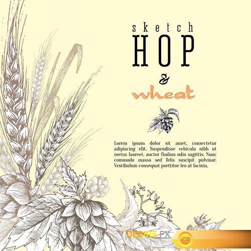 Beer hops round frame hand drawn hops branches - 39 EPS