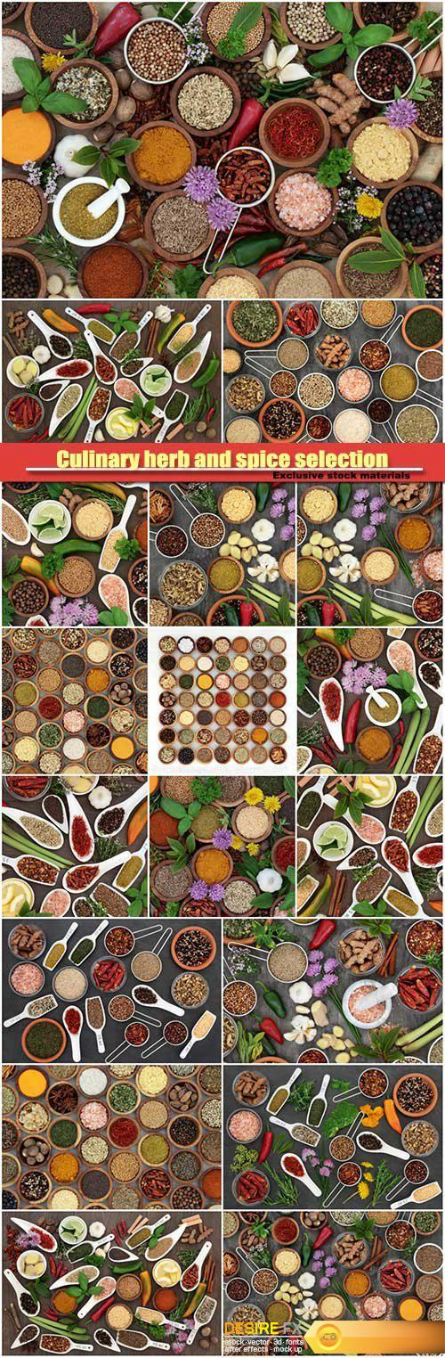 Culinary herb and spice selection