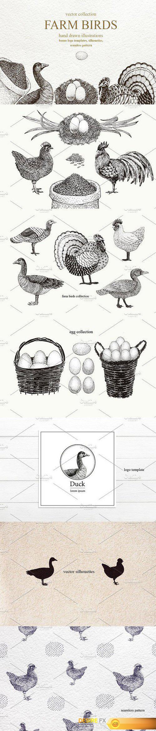 CM - Farm birds collection 1300284