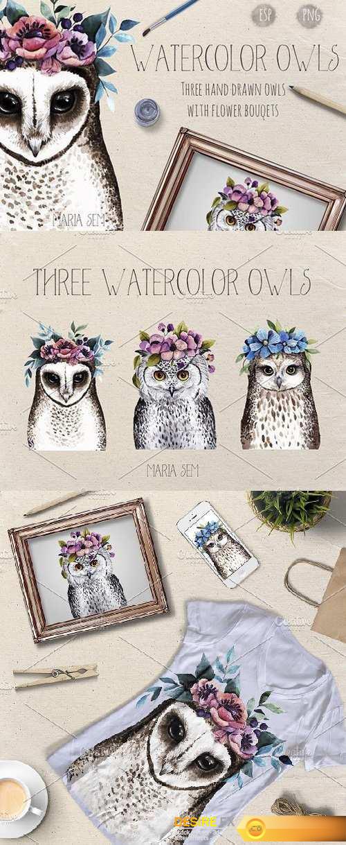 Watercolor Owls 1559736