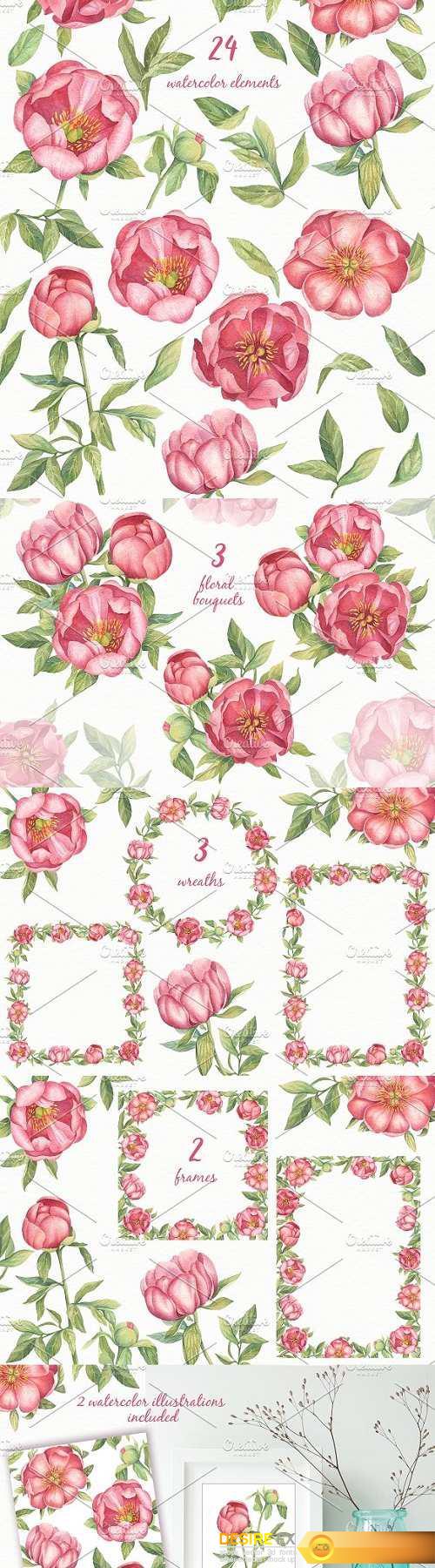 Pink Peonies-Watercolor Set - 1507110