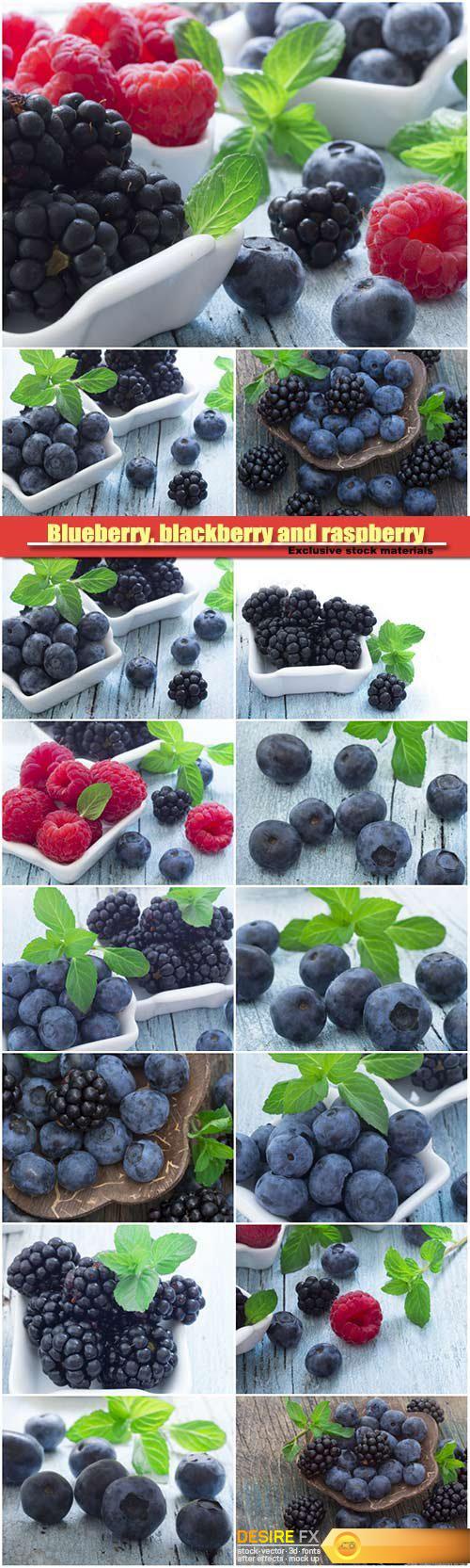 Blueberry, blackberry and raspberry