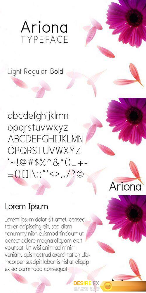 CM - Ariona Font Family 1323577