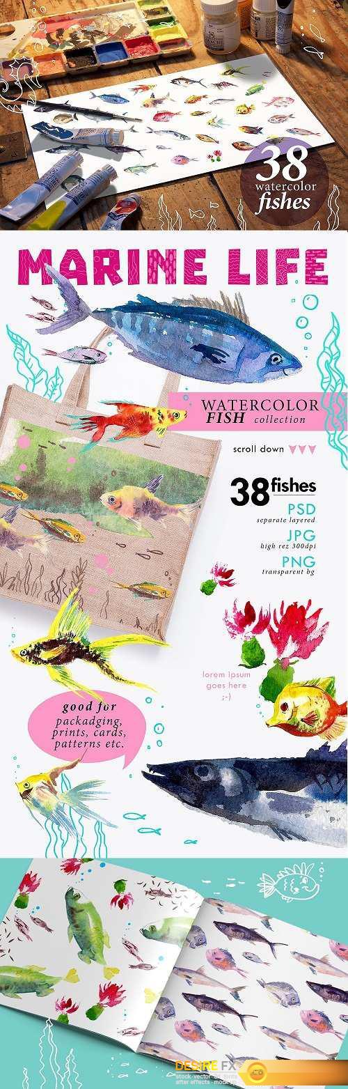 38 Watercolor Fishes - 1522781