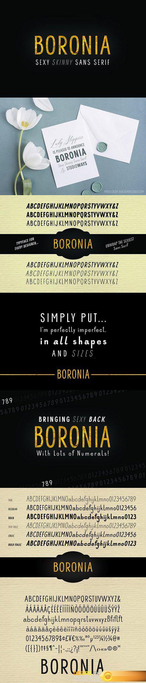 CM - Boronia Sans Serif Fonts 1322398