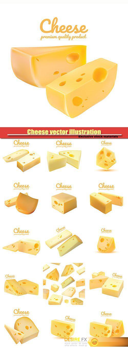 Cheese vector illustration