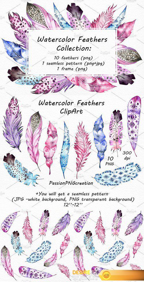 CM - Watercolor Feathers сlip art 1806515