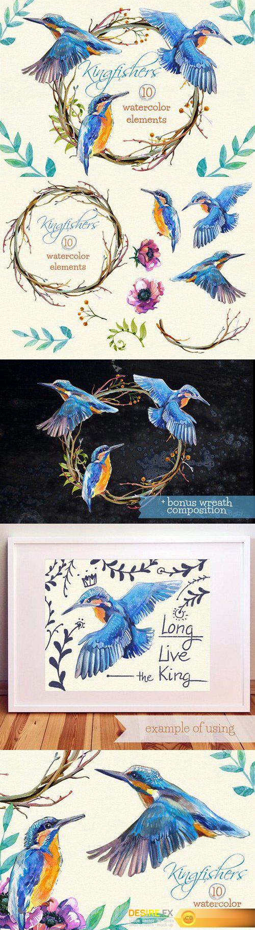 CM - Kingfishers Watercolor Clip Arts -10 1635309