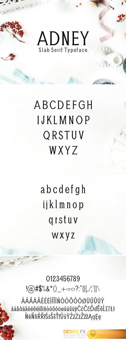 CM - Adney Slab Serif 3 Font Family 1820376