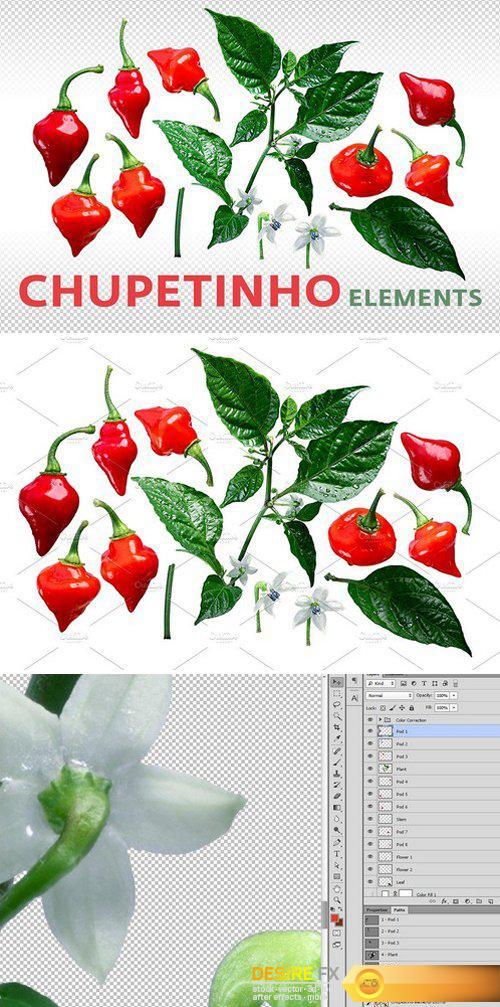 CM - Chupetinho elements 1867877