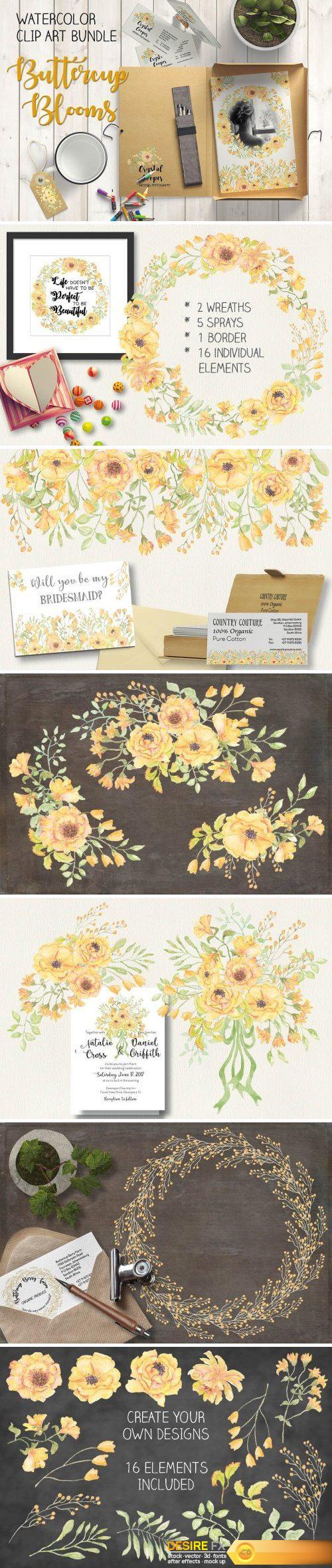CM - Watercolor bundle: Buttercup blooms 1581184