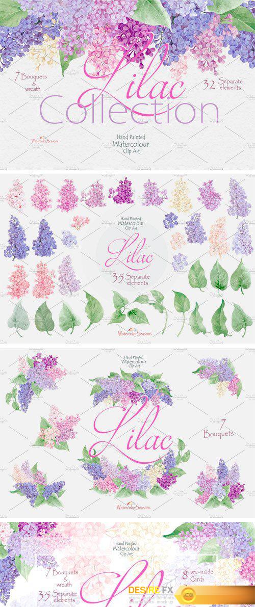 CM - Lilac Collection 2447193