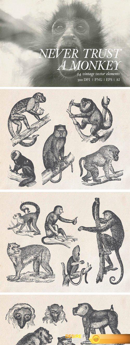 CM - Never Trust a Monkey - Vintage Set 2349641