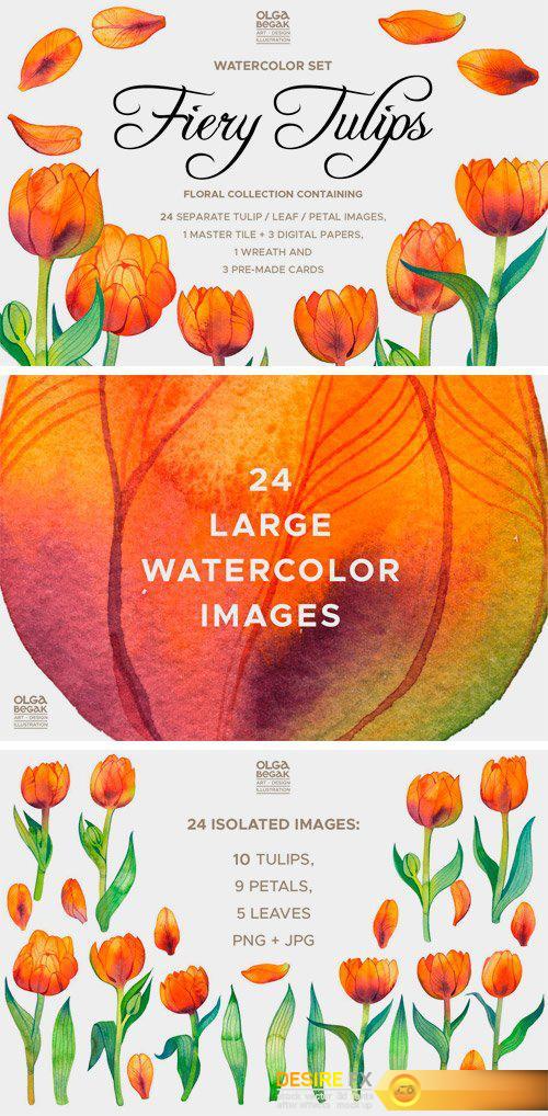 CM - Fiery Tulips Watercolor Collection 2394687