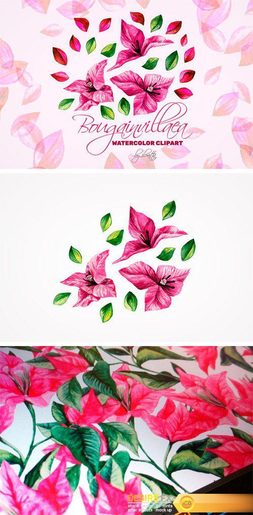 CM - Bougainvillea Floral Clipart 2423604