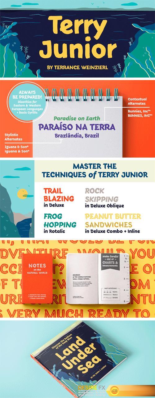 Terry Junior Font Family