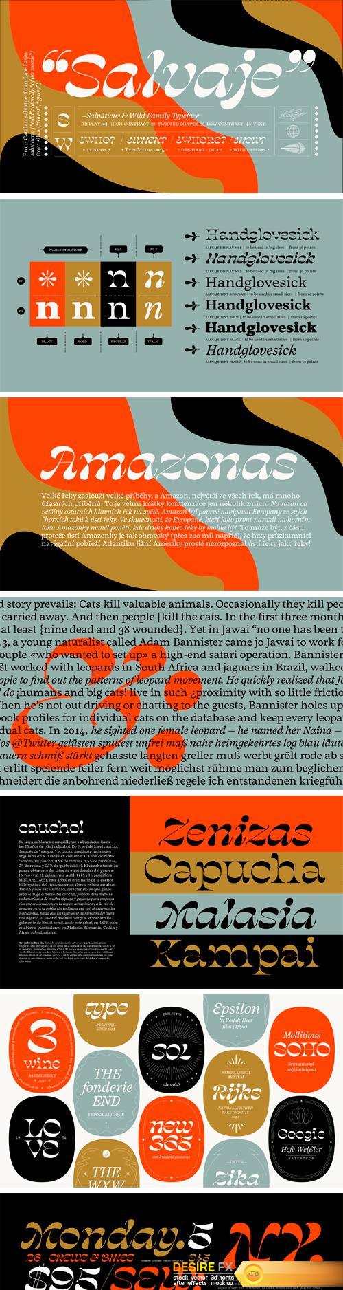 Salvaje Display Font Family