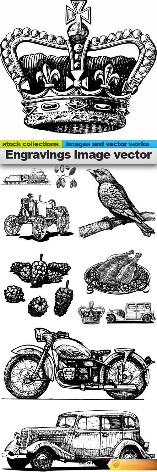 Engravings image vector, 10 x EPS