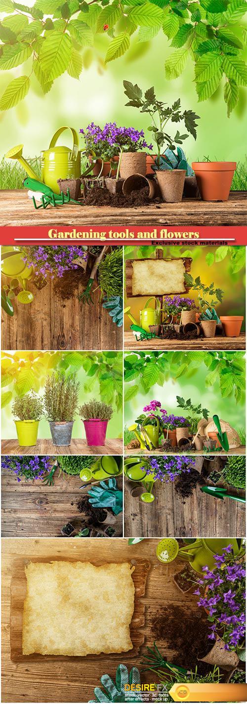 Gardening tools and flowers on wooden table
