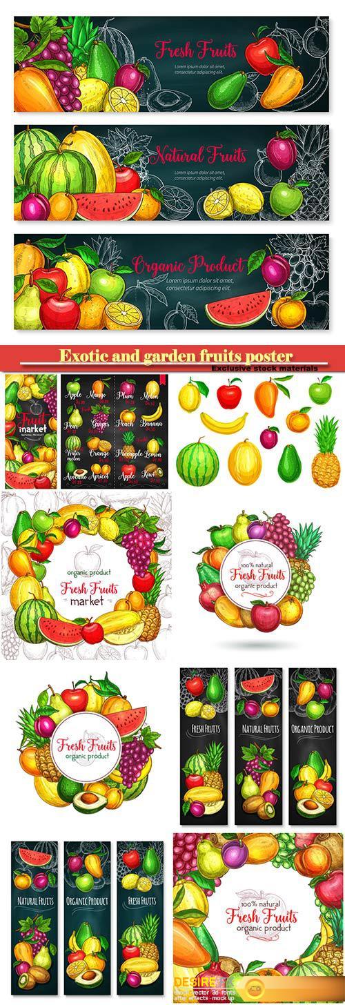 Exotic and garden fruits poster of melon, apricot or apple and avocado, tropical mango, kiwi