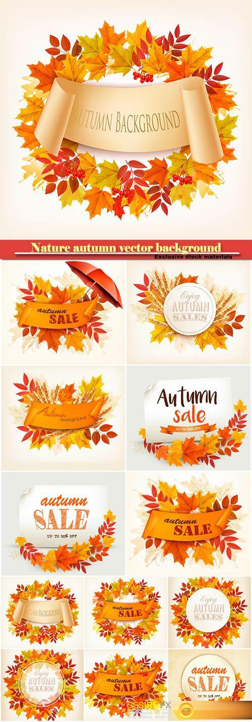 Nature autumn vector background with colorful leaves